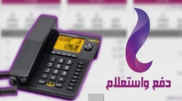 تسديد فوري.. الموعد النهائي لفواتير التليفون الأرضي نوفمبر 2025 يقترب لتفادي الفصل والغرامات